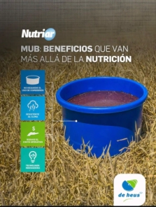 MUB CHACO PROTEIN - ARG